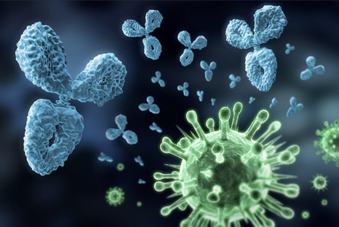 Virología - image